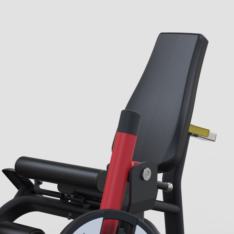 PL10-坐式伸腿. (1)