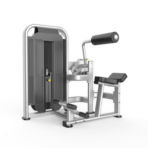 OBS-BA30 Abdominal Crunch & Back Extension Machine