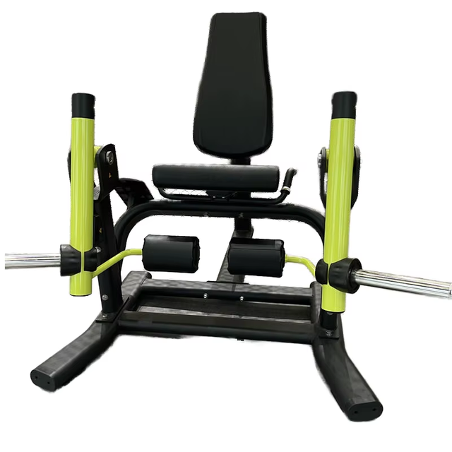 PL10 Seated Leg Extension 