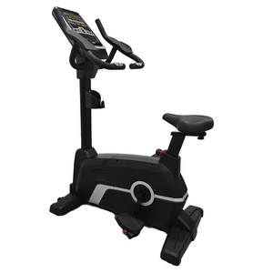 OBS-8018B Commercial Upright Bike 