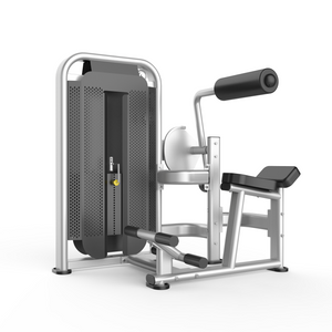 OBS-BA17 Back Extension Machne