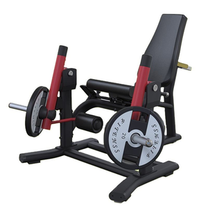 PL10 Seated Leg Extension 