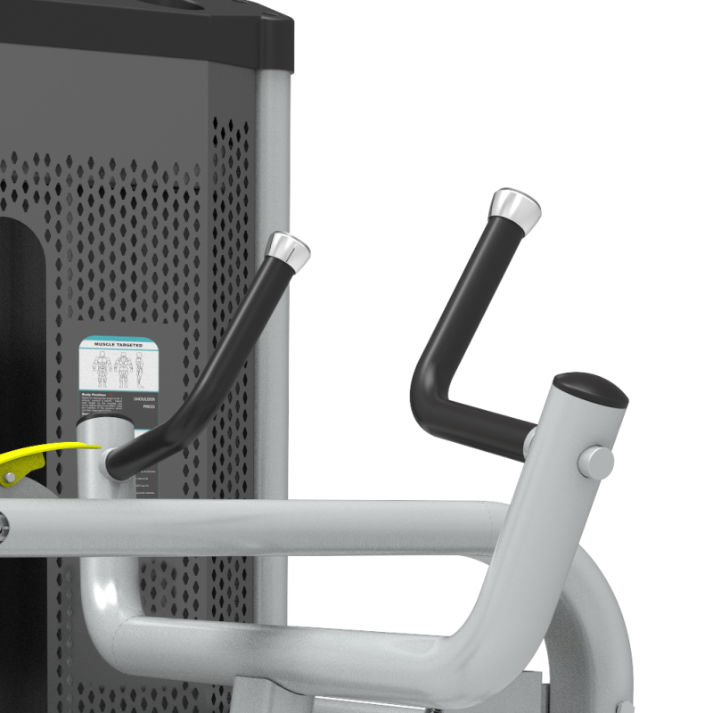 1905平行拉背 (1)_1