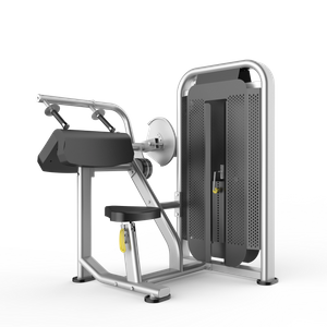 OBS-BA12 Arm Extension Machine 