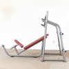 OBS-OL 3033 Incline Bench Press