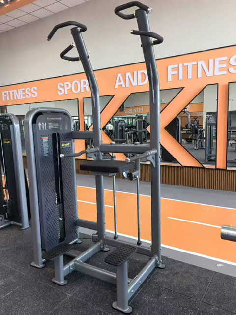 OBS-OL 3015 Dip/Chin Assist Machine