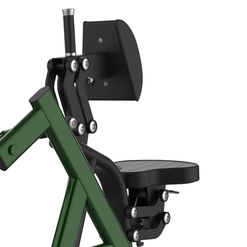 A711 划船拉背 (1)_2