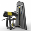 OBS-2009 Triceps Extension Machine 