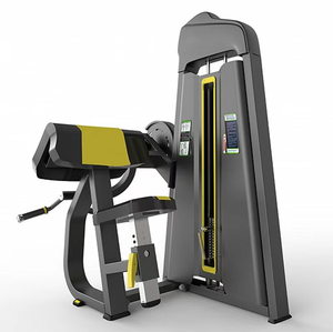 OBS-2009 Triceps Extension Machine 