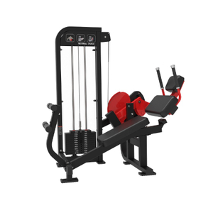Commercial Abdominal Trainer Machine Core Strength Training Equipment