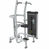 Commercial Assisted Dip Chin Up Strength Training Machine