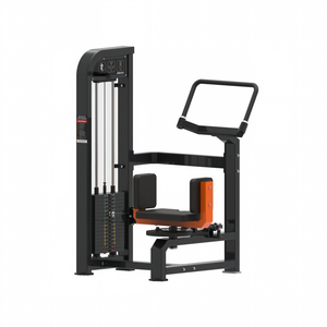Commercial Seated Rotary Torso Machine Core Training Equipment