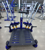 SP7-19 Standing Row Upright Back Trainer